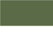 Olive-White